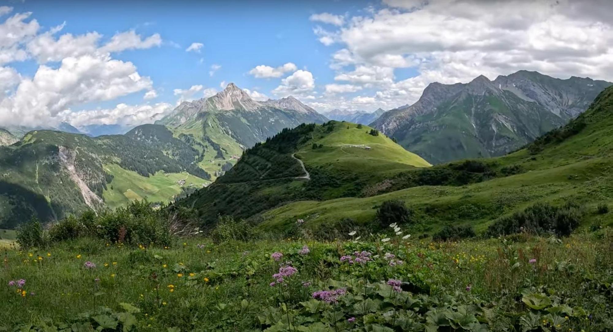 Willa Alma Arlberg *
